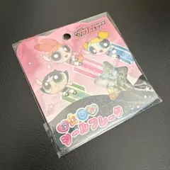 新品 カミオジャパン おはじきシールフレーク パワーパフガールズ