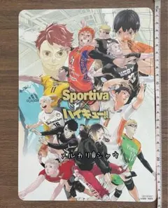 新品未使用　ハイキュー ビジュアルボード　限定アニメイト特典 スポルティーバ