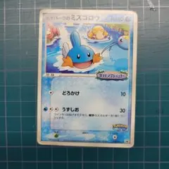 ポケパークのミズゴロウ PROMO PCG-Pプロモカード 048/PCG-P