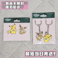 限定☆ポケパーク カントー ブースター ピンバッジ ピンズ - メルカリ