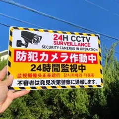 Item thumbnail for item 18015213-8c21-467b-9c43-2845f59a9346