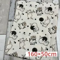1027 NUNOIRO 고양이 무늬 미니 뒷모습