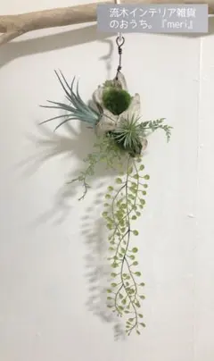 流木インテリア☆No. 1140流木苔玉ハンキング エアプランツ 多肉植物 造花