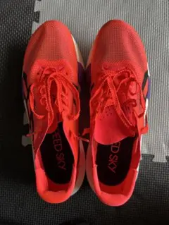 asics - 専用　SPEED SKY 新品未使用　26センチ 2025年最新】メタスピードスカイ 26の人気アイテム - メルカリ