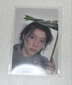 Stray Kids スキズ フィリックス 会場限定トレカ エコパ 5/11