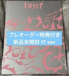 Stray Kids DO IT IT ver 新品未開封