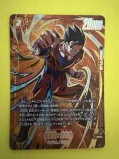 パラレル【FS11-09】孫悟飯：青年期