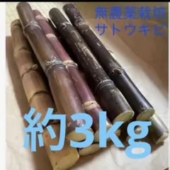 南米アンデス地方の民族楽器、「ケーナ」と思われる笛 3本セット 