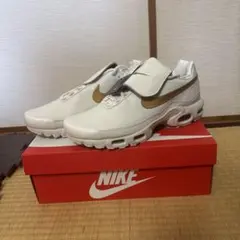 Nike Air Max Plus Tiempo(29センチ)