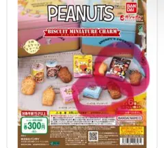 PEANUTS ビスケットミニチュアチャーム 2点セット