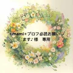 ✴︎mami✴︎プロフ必読お願いします♪様　専用