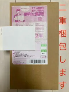 【二重梱包】ポケモンセンターヒロシマ スペシャルBOX