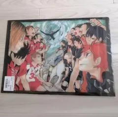 ハイキュー!!　クリアファイル　烏野　音駒