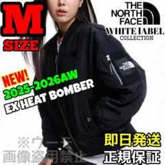新作 THE NORTH FACE HAYDEN EX ヒット ボンバー M
