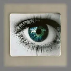 Item thumbnail for item 4735a253-9d0f-42ba-8827-ee44c9fec7a9