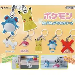ポケモン めじるしアクセサリー2 セミコンプリート セット売り