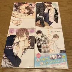 美しい彼　1.2.3巻　番外編　小説　セット