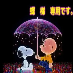 ♥蝶　様　専用♥のサムネイル