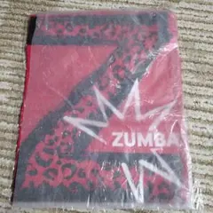 【新品未使用】ZUMBA Tシャツ ピンク JWI購入