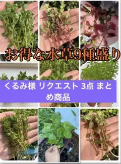 くるみ様 リクエスト 3点 まとめ商品