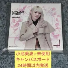 2026年最新】キャンバスボード 櫻坂の人気アイテム - メルカリ