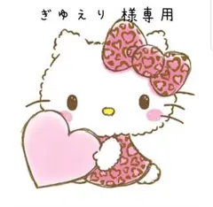 硬質ケース ♡ 専用 オーダーページ