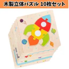 木製立体パズル 10枚セット 知育玩具 モンテッソーリ 木のおもちゃ 動物のサムネイル