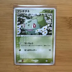 フシギダネ プロモ 051/ADV-P ポケモンカード Meiji - メルカリ