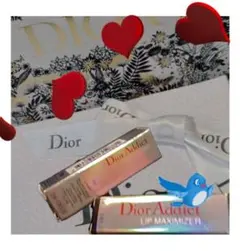ディオール アディクト リップ マキシマイザー 001 ピンク 765 空箱２個