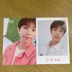 SEVENTEEN HARU ドギョム トレカ