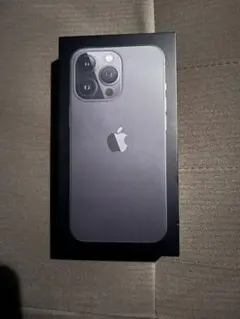 Apple iPhone 13 Pro グラファイト箱