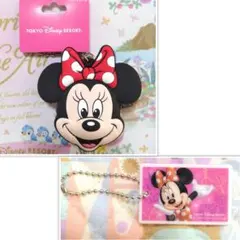 ディズニー　バッグチャーム　キーチェーン　１デー　チケット　ミニー