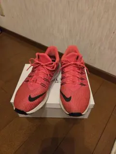 Item thumbnail for item 94b2de97-10df-4fe4-a508-458b28e830fc