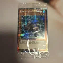 遊戯王 風霊使いウィン 英語版 スターライトレアCH02-EN003 北米版