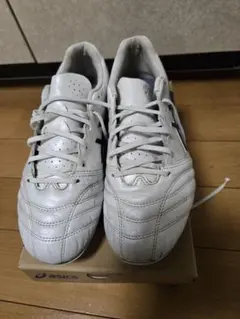 ASICS DS LIGHT PRO WIDE 26.0cm