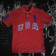 Polo Ralph Lauren CHICAGO ポロシャツ swag y2k - メルカリ