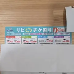 スキージャム勝山 リフト割引券