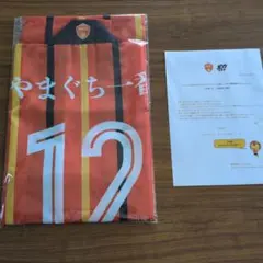 レノファ山口 応援グッズ