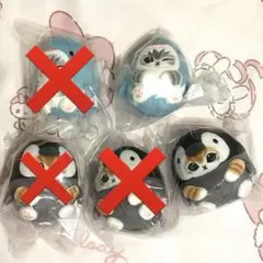 mofusand ♡ 海の生き物にゃん コロぬい 2点