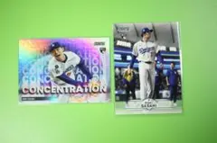 Item thumbnail for item 9e97685b-9cab-486d-94bf-9f87ddcd48c2