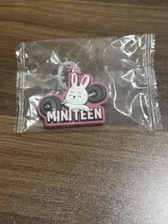 MINITEEN チェチェリー めじるしアクセサリー　スンチョル　エスクプス