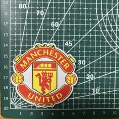 サッカーチームプリン1枚