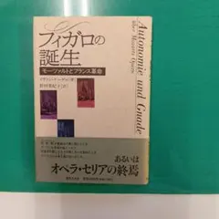 ヴァチカンのミケランジェロとラファエッロ アートブック - メルカリ
