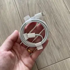Apple純正Lightning to 充電器　2個セット