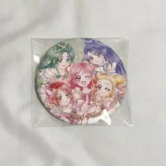 プリキュアオールスターズ BIG缶バッジ【Yes！プリキュア5】