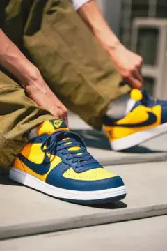 NIKE ターミネーター ロー プレミアム 28cm Pro - メルカリ