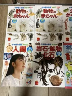 ハッピーセット　図鑑まとめ売り