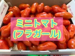 ミニトマト(フラガール)1kg ④