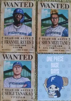 ファイターズ ワンピース ステッカー レイエス 水谷瞬 田中正義 チョッパー