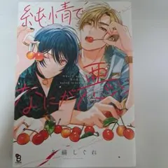 2026年最新】純情でなにが悪いの人気アイテム - メルカリ